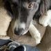 Jacob Goddard - Facebook