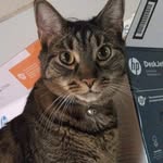 Noah Jacob Gottshall - @noahgottshall - Instagram