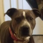 Jacob Graber - @jacob.graber.733 - Instagram