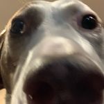 jacob grabowski - @jacobgrabowski101 - Instagram