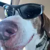 Jacob - @jacobgrabowski1 - TikTok