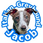 ジェイコブ - @ig_jacobgram - Instagram
