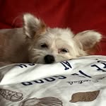 Jacob 13 yo🦄🥳🍰💐 - @jacob_grechko - Instagram
