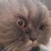 Jacob Grech - @jacob.grech - TikTok