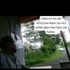 JACOB - @jacob.greigh - TikTok