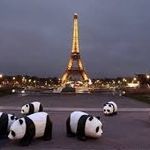 Jacob Gresham - @french_panda3 - Instagram