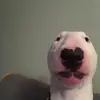 Jacob Grigg - @jacob.grigg - TikTok