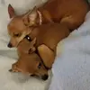 Jacob Grimes - @jacob.grimes3 - TikTok