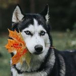 Jacob Guenther - @jacob.guenther.750 - Instagram