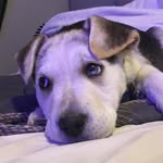 Jacob - @jacob._.i._.guess - Instagram
