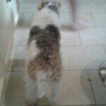 jacob - @jacob_guest_06 - Instagram
