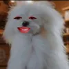 Jacob Guevarra - @jacobguevarra1 - TikTok