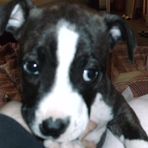 Jacob Guisinger - Facebook