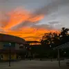 Jacob_Hackett - @notjacobhackett14 - TikTok