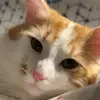 Jacob Hackett - @jacob.hackett8 - TikTok