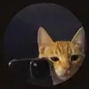 Jacob Hale - @jacob.hale70 - TikTok