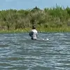 🪶Jäčǒb🪶🦆 - @jacob.hale71 - TikTok