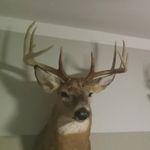 Jacob Hasenauer - @jacobhasenauer - Instagram