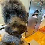 Jacob hauge - @jacob_hauge - Instagram