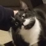 Jacob Haugh - @bugsbunny510_ - Instagram
