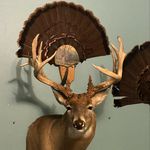 Jacob Slams Haught - @haughtoutdoors - Instagram