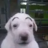 user6715260726247 - @jacob_haughton - TikTok
