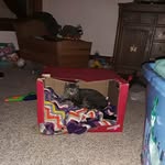 Jacob Head - @jacob.head.16718 - Instagram