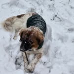 Jacob Head - @jakemayne - Instagram