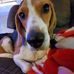 Jacob Heap - Facebook