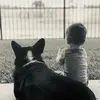 jacobhebertmusic - @jacobhebertmusic - TikTok