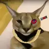 heckerjacob - @heckerjacob - TikTok