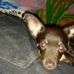 Jacob Heffelfinger - Facebook