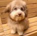 Jacob Heflin - Facebook