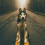 J∆©øb - @jacob_heidisch - Instagram