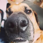 Jacob Heil - @jacobh_08_ - Instagram