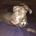 Jacob Helmick - Facebook
