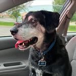Jacob Hensel - @j_diditagain - Instagram