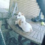 jacob - @jacobhenseleit4 - Instagram