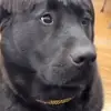 Jacob Herd - @jacobherd - TikTok
