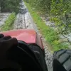 jacobherrin271 - @jacobherrin271 - TikTok