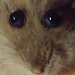 Jacob Hersh - @jhersh5689 - Instagram