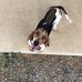 Jacob Hersh - Facebook