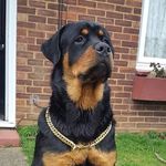 Jacob Hessel - @1jacob.hessel0 - Instagram