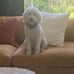 Jake Highley - Facebook