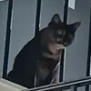 Jacob Hightower - @jacob.hightower - TikTok