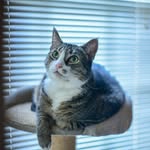Jacob Hightower - @jacobhightower - Instagram