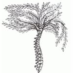 Dr. Jacob Hinman - @dr.jacobhinman - Instagram
