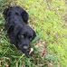 Jacob Hitt - Facebook