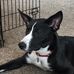 Jacob Hoak - Facebook