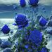 Jacob Hoang - Facebook